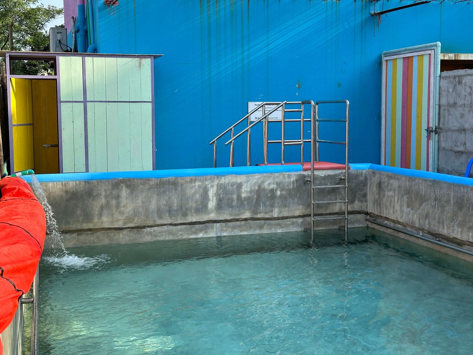 Swimming lesson